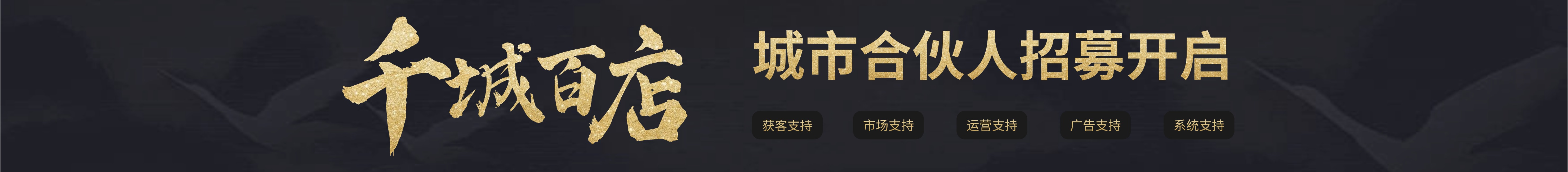 千城百店 城市合伙人招募
